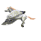 flying pegasus gif.gif (12152 bytes)